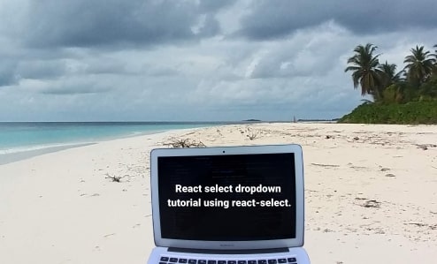 React select dropdown tutorial using react-select. (1)